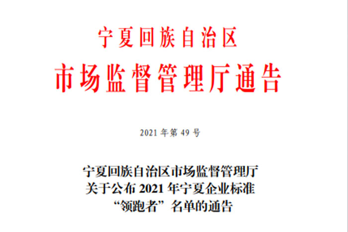 【荣誉】菠菜担保平台《GS系列桁架机器人》企业标准入选2021年宁夏企业标准“领跑者”名单